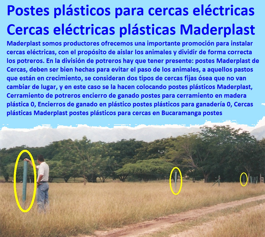 Postes Y Tablas de PET Corrales Horcones Estacones Polines Varetas de PET 0 tablón plástico para corrales 0 Fabricación y Venta de Todo Tipo de Postes Plásticos 0 postes plásticos villavicencio 0 poste o estaca para cercado Maderplast RPET Postes Y Tablas de PET Corrales Horcones Estacones Polines Varetas de PET 0 tablón plástico para corrales 0 Fabricación y Venta de Todo Tipo de Postes Plásticos 0 Pesebreras De Caballos, Plaza Toros, Brete Ganadero, Apretaderos Embarcaderos, Postes Tablas, Corral Caballerizas, Polines Varetas, Mangas De Coleo, Horcones Madera Plástica, Corrales, Establos De Ganado, Mangas De Coleo, postes plásticos villavicencio 0 poste o estaca para cercado Maderplast RPET